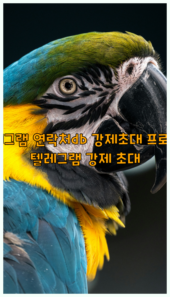 텔레그램 그룹 db 강제초대 프로그램